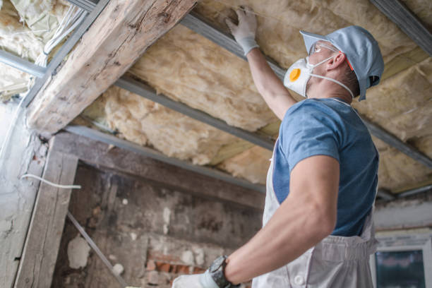 Best Insulation Maintenance and Repair in Manchester, MD
